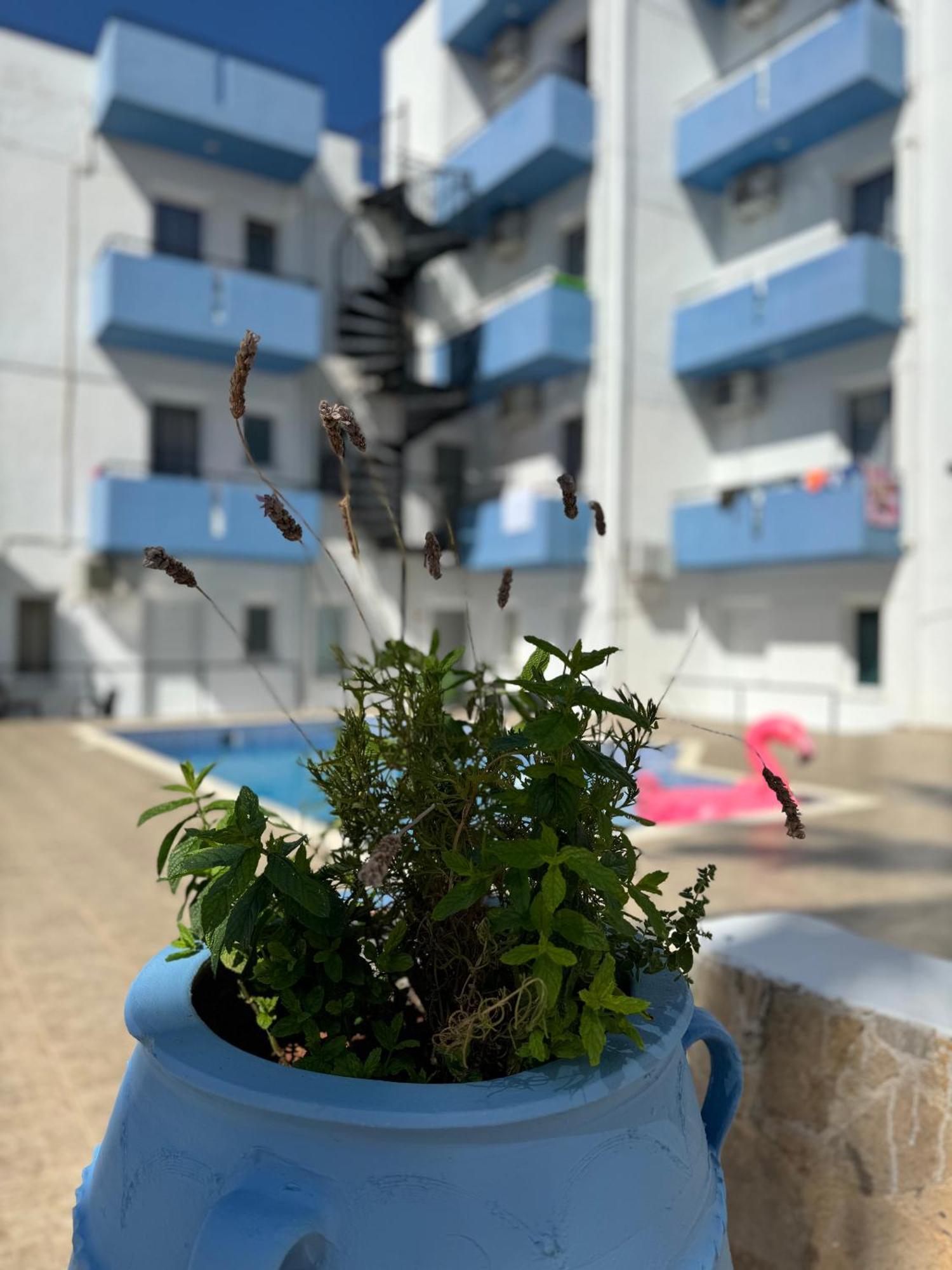 Simple Hotel Hersonissos Blue Extérieur photo